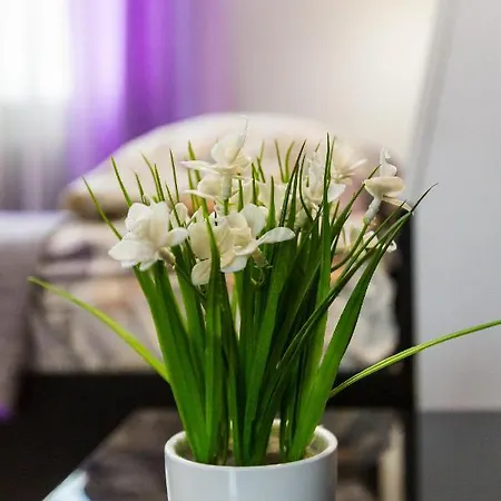 8 Svyatoho Teodora Square Apartment Lviv