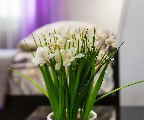 8 Svyatoho Teodora Square Apartment Lviv